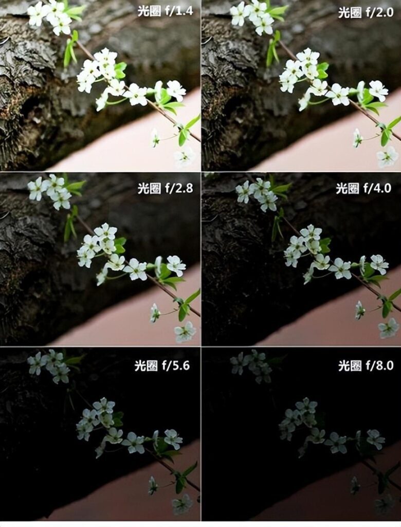大小光圈如何运用_大小光圈的运用方法 大小光圈如何运用_大小光圈的运用方法