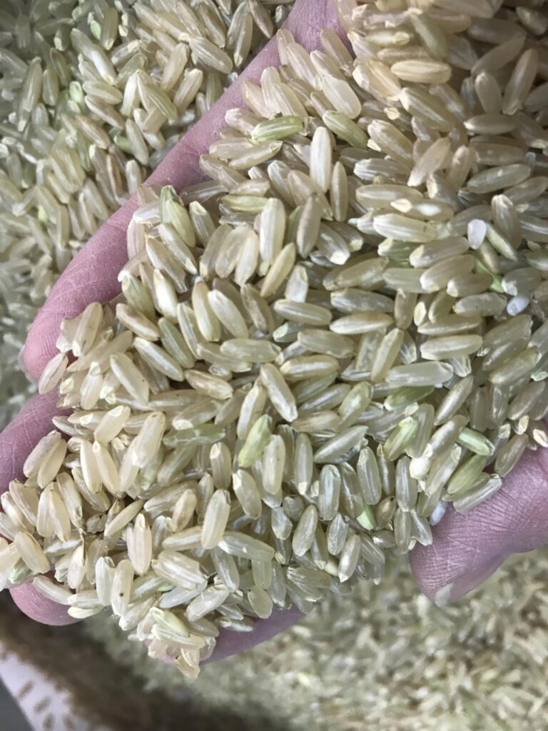 糙米是什么米_糙米的营养价值