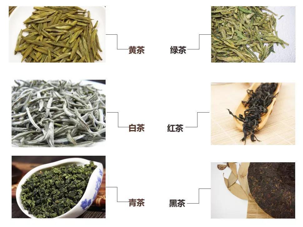 茶叶的分类有哪些_茶叶的分类及特点