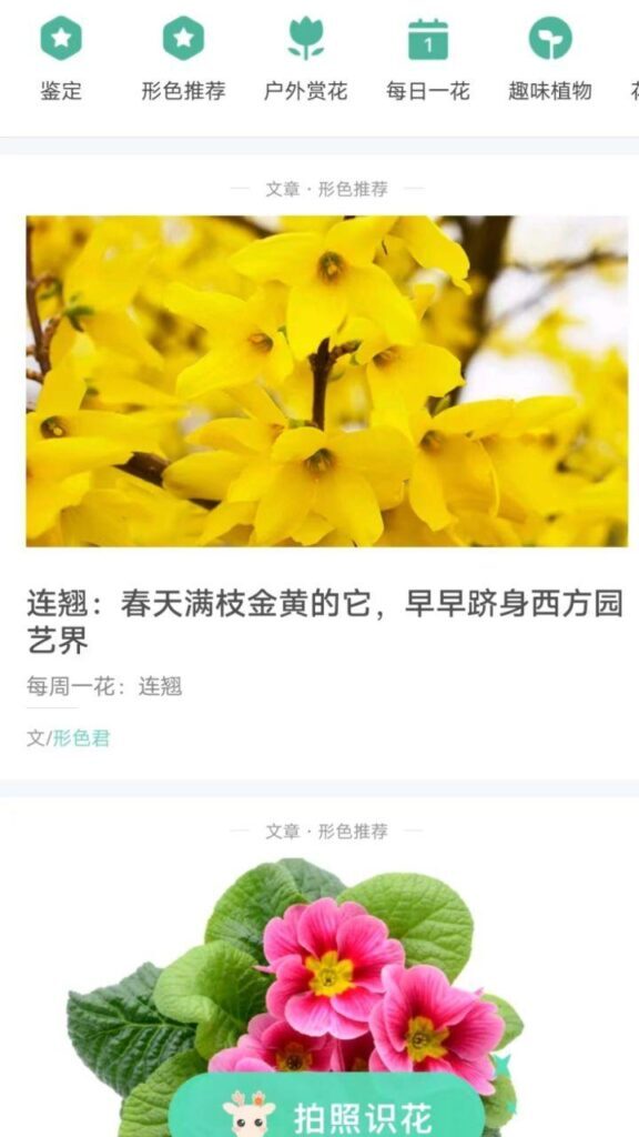 植物识别APP哪个好_植物识别APP推荐