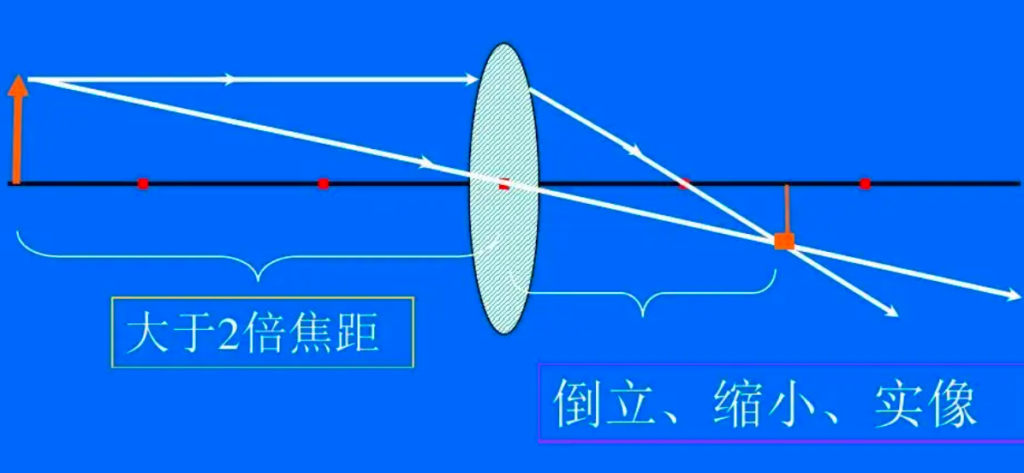 大鹅战斗力为何那么强_大鹅的战斗力和恩怨