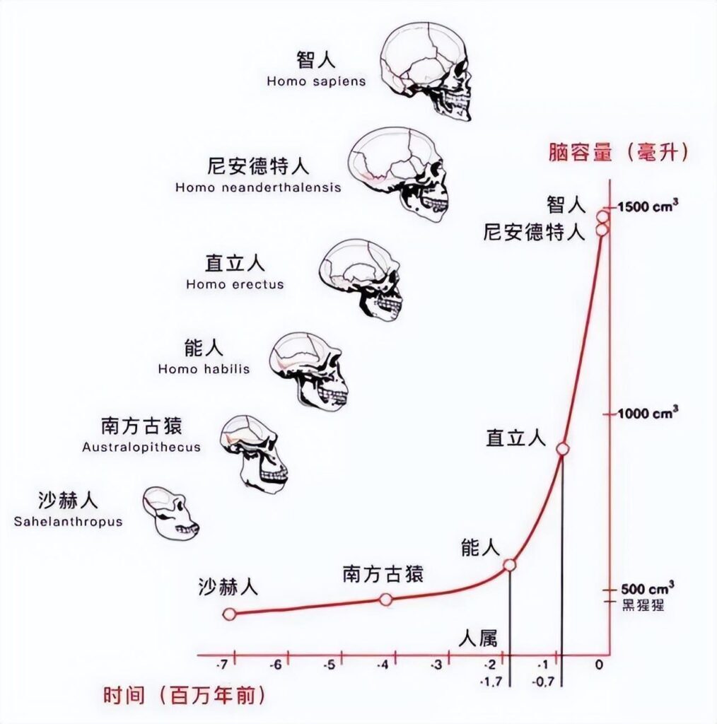 人类到底来自哪里_生命的起源和演变过程