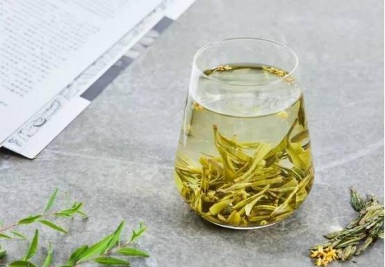早春喝茶该注意什么_早春喝茶的注意事项