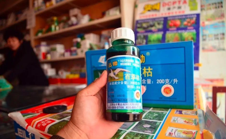 百草枯究竟有多毒_百草枯的毒性