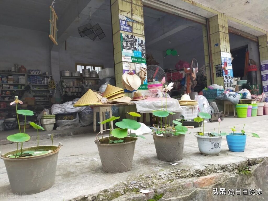 杠精是什么意思_杠精的概念