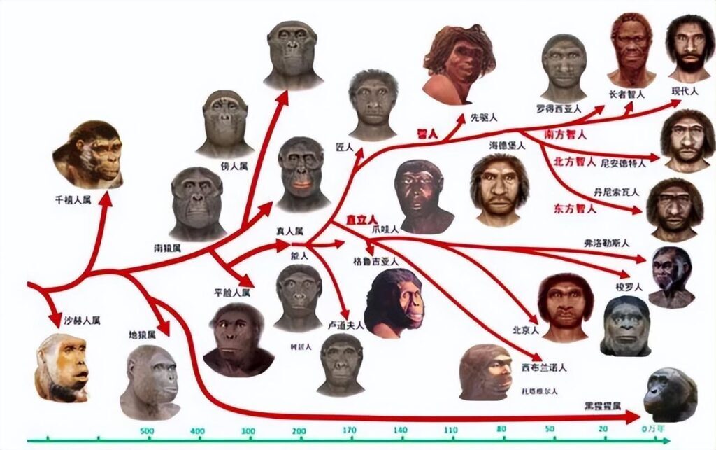 人类到底来自哪里_生命的起源和演变过程