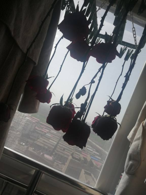 如何制作干花_干花的制作步骤