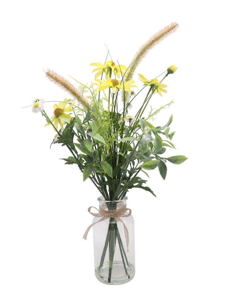 洋甘菊的花语是什么_洋甘菊的花语和象征意义