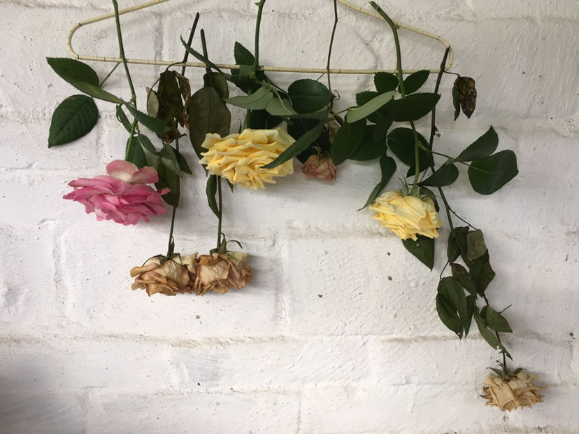 如何制作干花_干花的制作步骤