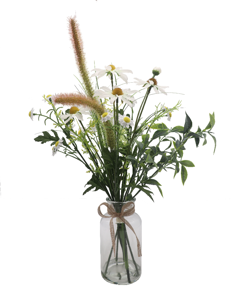 洋甘菊的花语是什么_洋甘菊的花语和象征意义