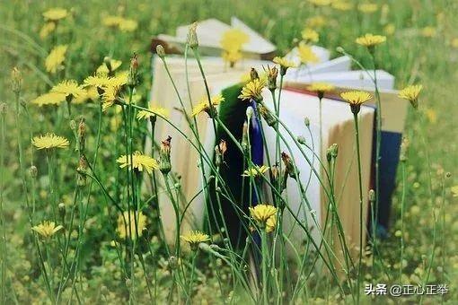 如何掌控自己的情绪_掌控自己情绪的方法