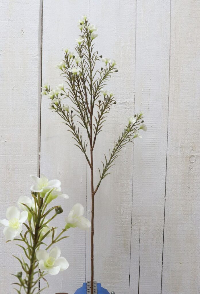 梨花的花语是什么_梨花的花语及象征意义