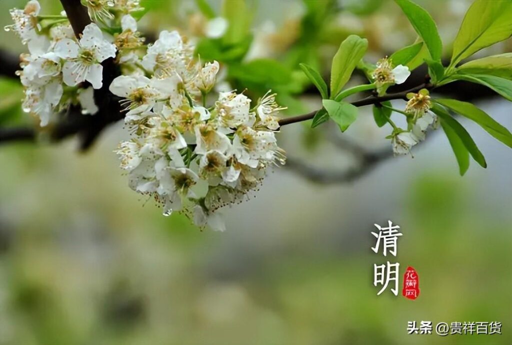 清明节会下雨吗_清明节的天气情况