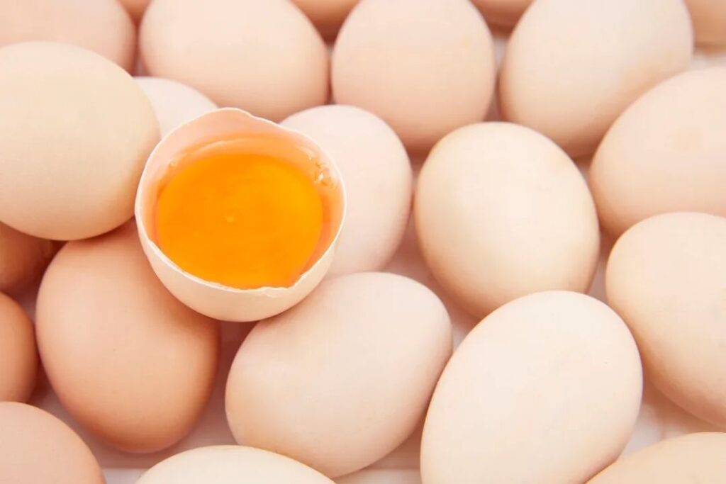 鸡蛋该怎么挑选_买鸡蛋的挑选技巧