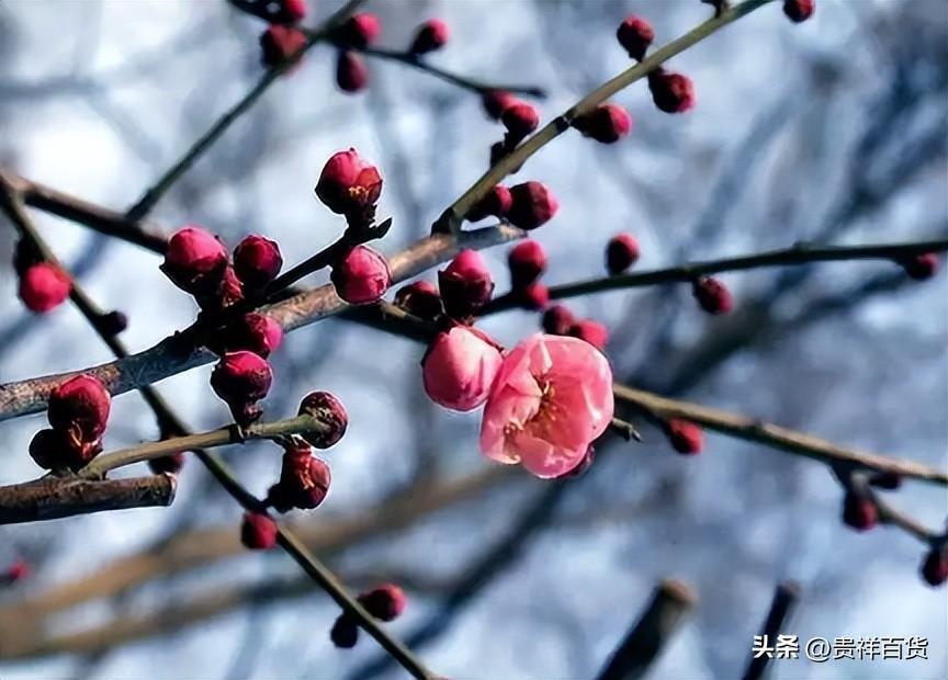 2024年为什么没有立春_无春年的注意事项
