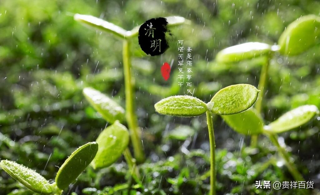 清明节气温大概多少度_清明节气温详情