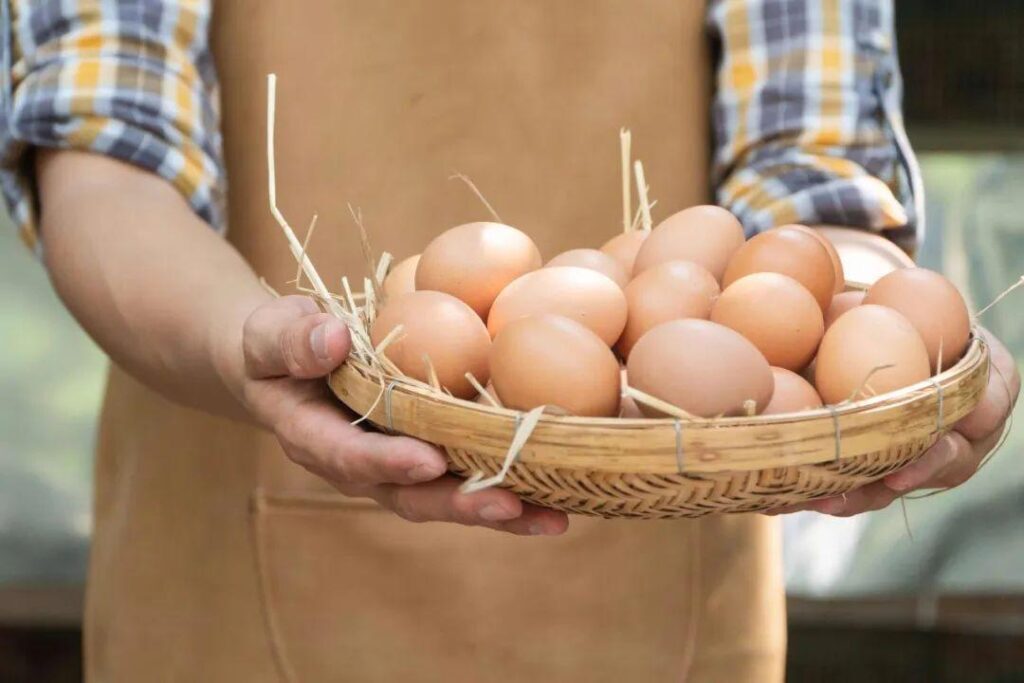 鸡蛋该怎么挑选_买鸡蛋的挑选技巧
