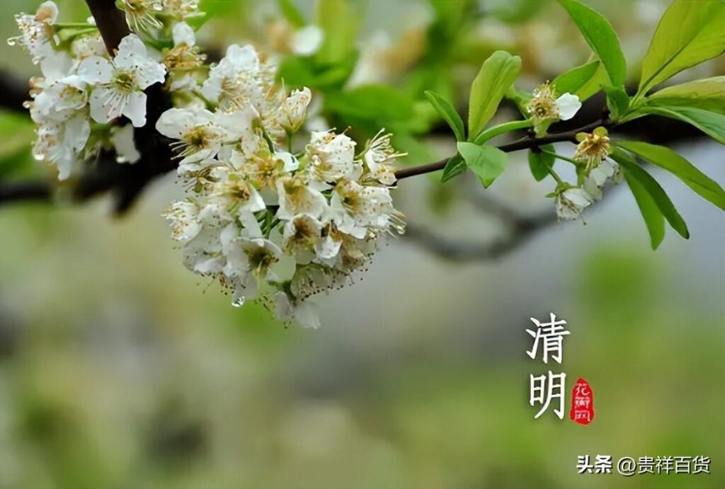 清明节气温大概多少度_清明节气温详情
