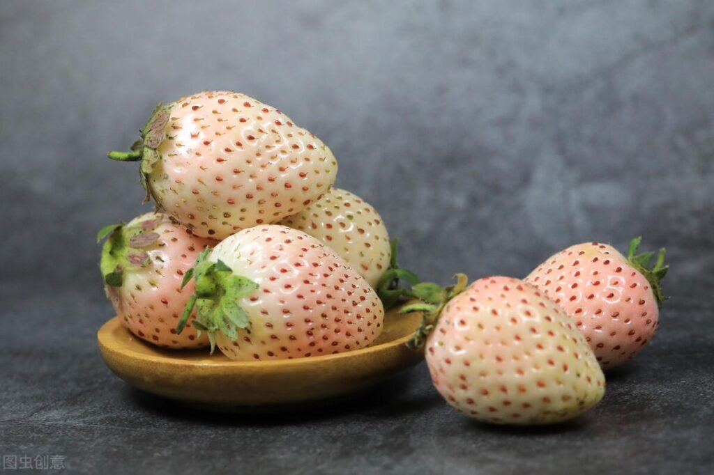 草莓品种有哪些_十大草莓品种你吃过几种