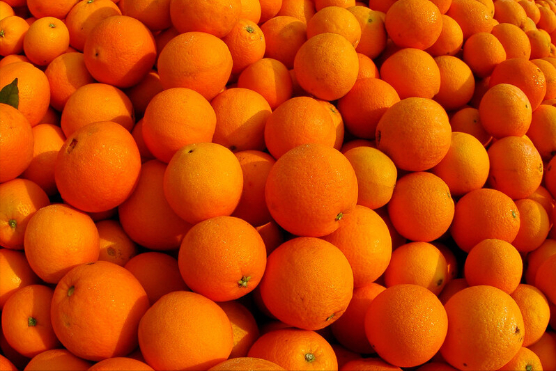 橙子产地有哪些_全国哪里的橙子最好吃