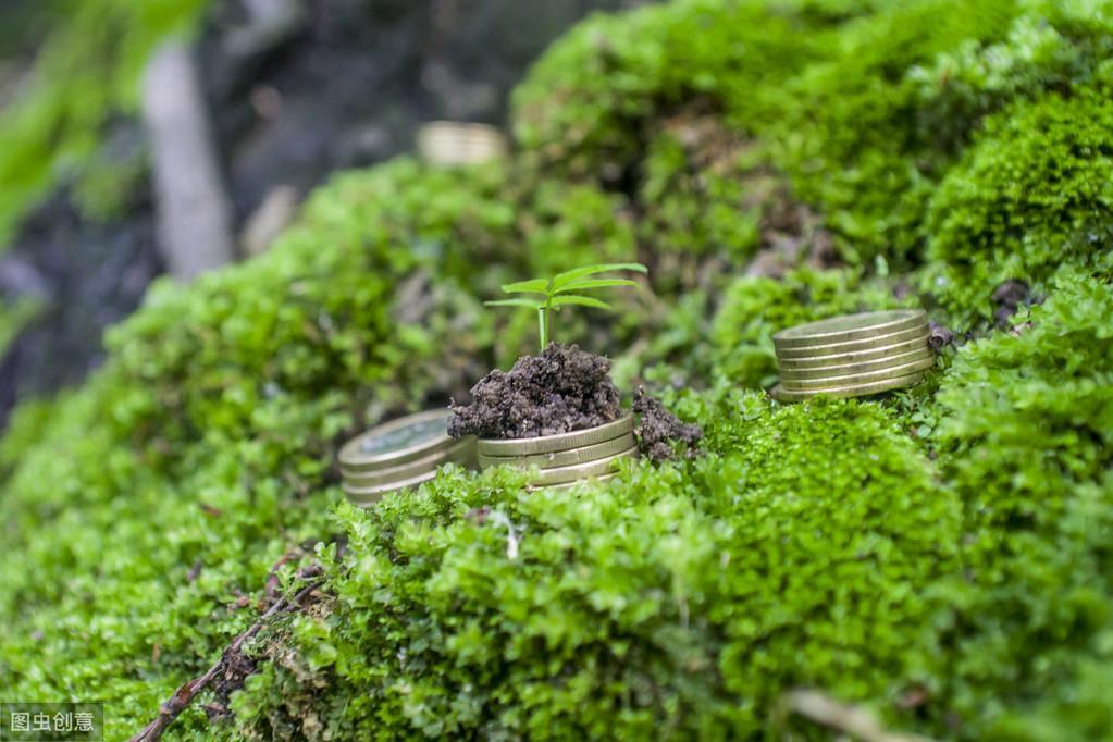 苔藓如何养护_苔藓直接铺上去能活吗