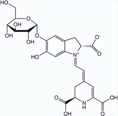 火龙果是仙人掌的果实吗_火龙果的故事你了解多少