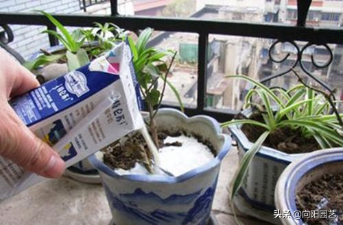 发酵肥料怎么做_发酵花肥的制作方法