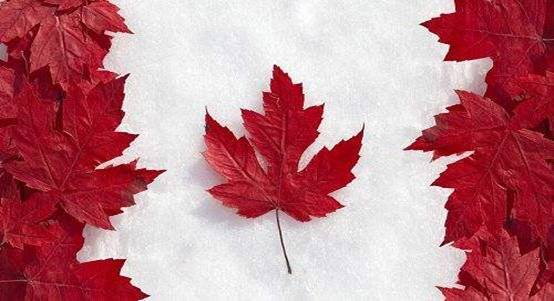 枫叶之邦是哪个国家_为什么加拿大是枫叶之邦