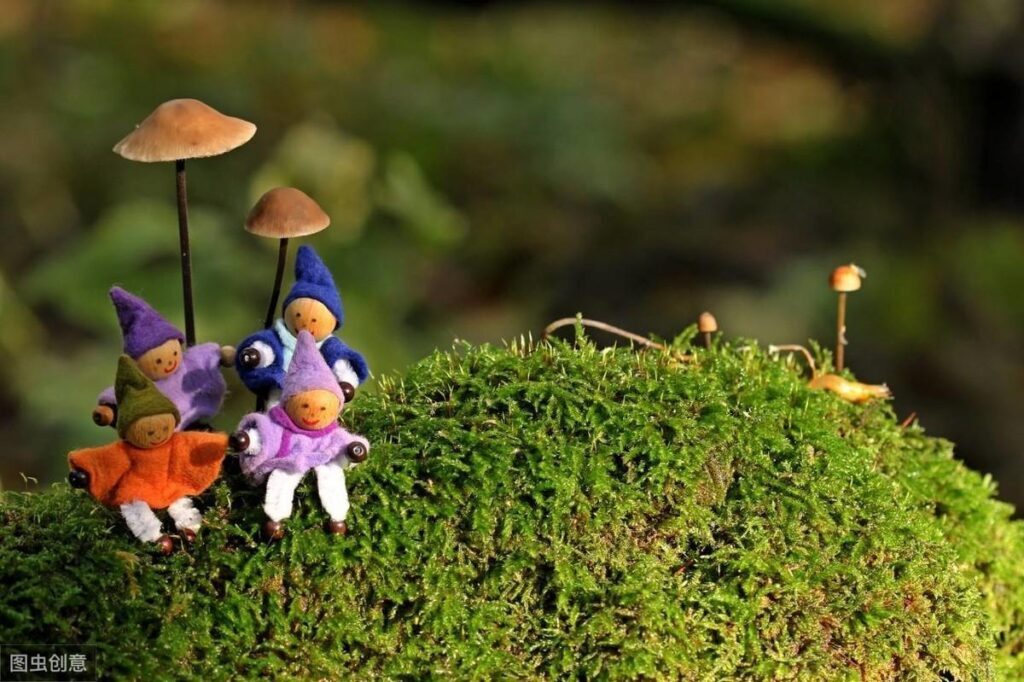 苔藓如何养护_苔藓直接铺上去能活吗