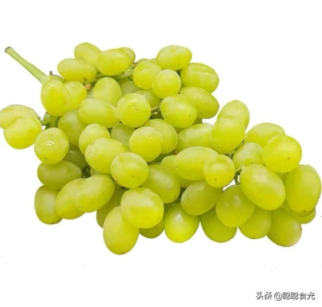 葡萄的种类有哪些_15种常见的葡萄种类各有千秋