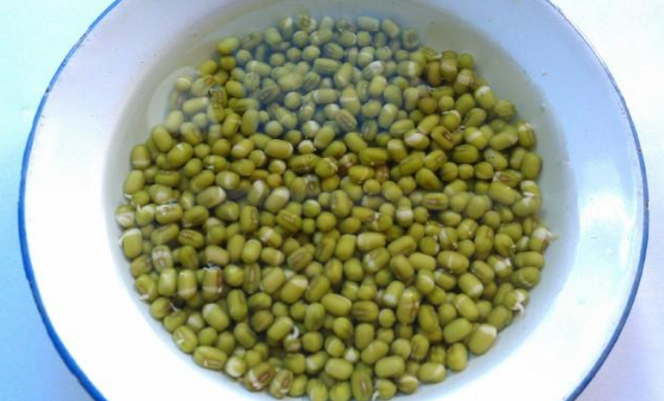 豆芽怎么发_发豆芽的制作过程