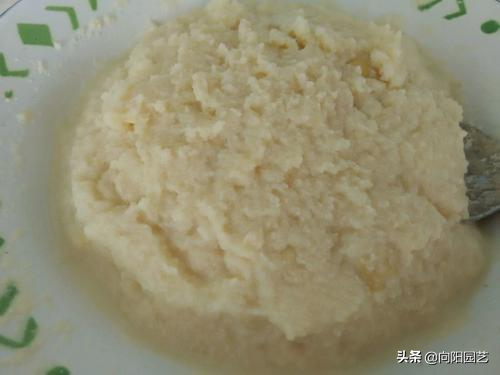 发酵肥料怎么做_发酵花肥的制作方法