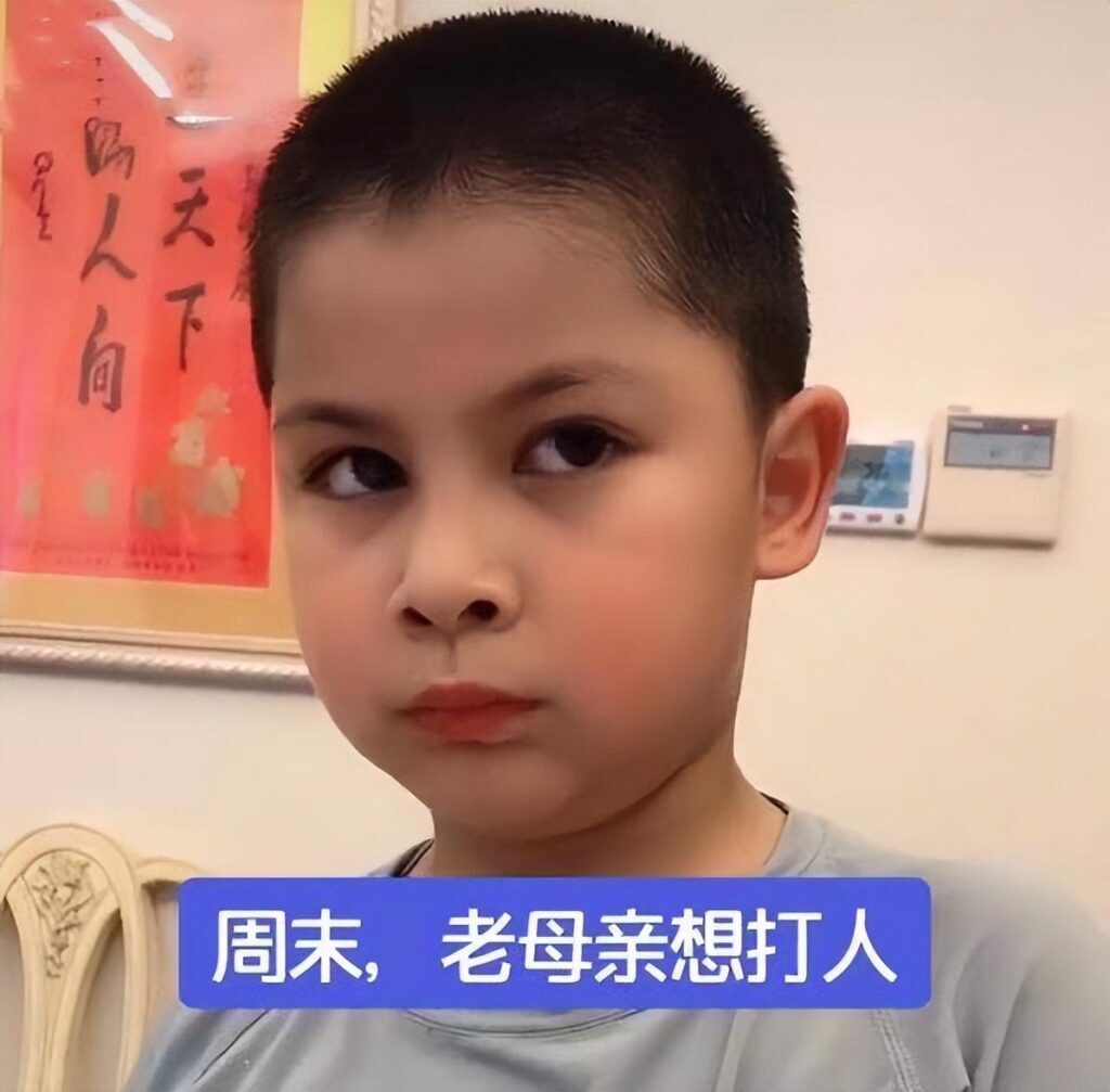 吉雪萍近况如何_吉雪萍现在去哪了