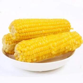 一根玉米的热量高吗_减肥的人晚上能吃玉米吗