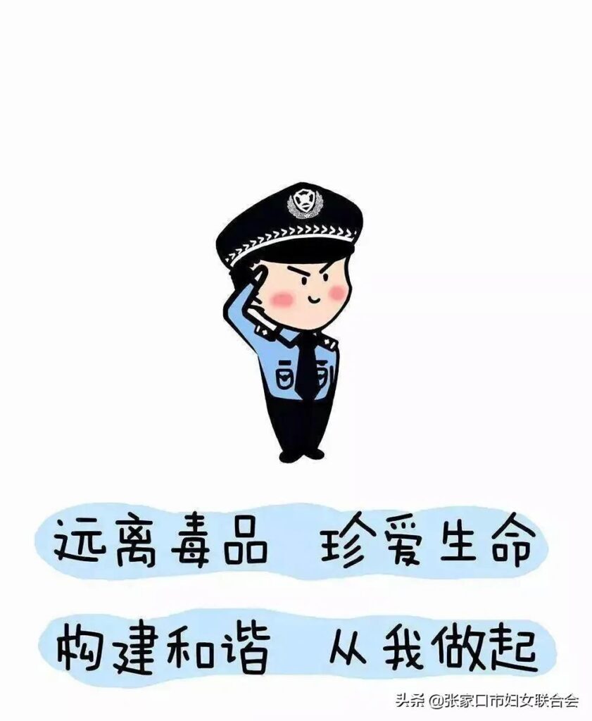 禁毒法什么时候实行的_禁毒的重要性和意义
