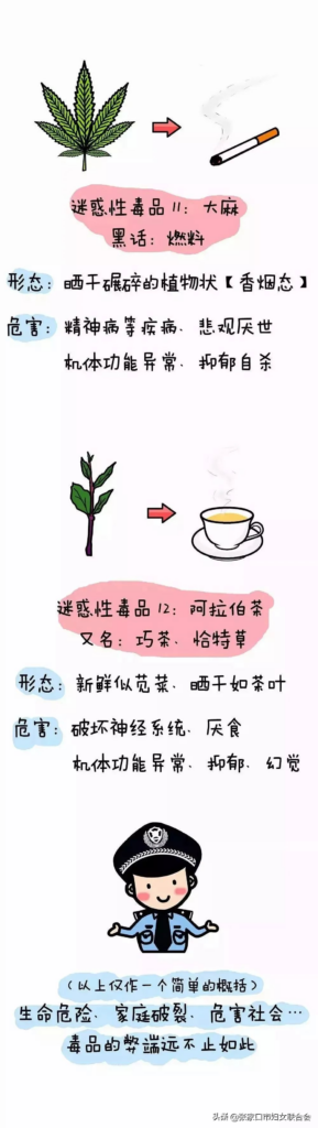 禁毒法什么时候实行的_禁毒的重要性和意义