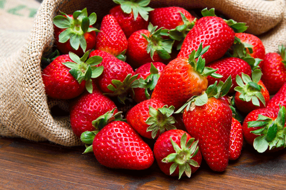 草莓怎么种植_手把手教你草莓的种植方法