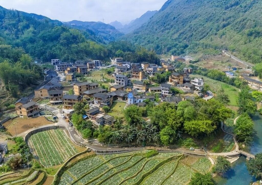 油菜花几月份开_油菜花的最佳观赏胜地