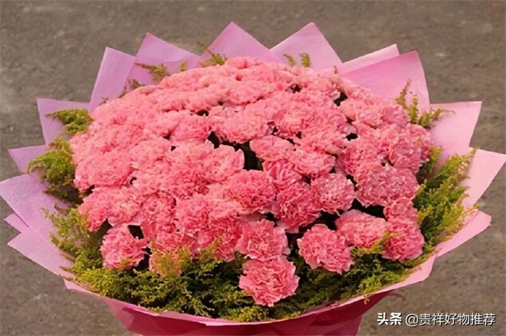 夏天开什么花_常见的夏季主打花你知道几种