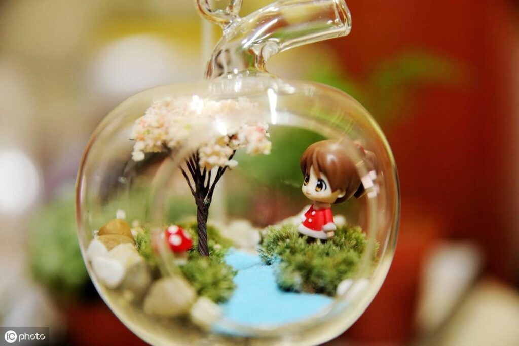 苔藓如何养护_苔藓直接铺上去能活吗