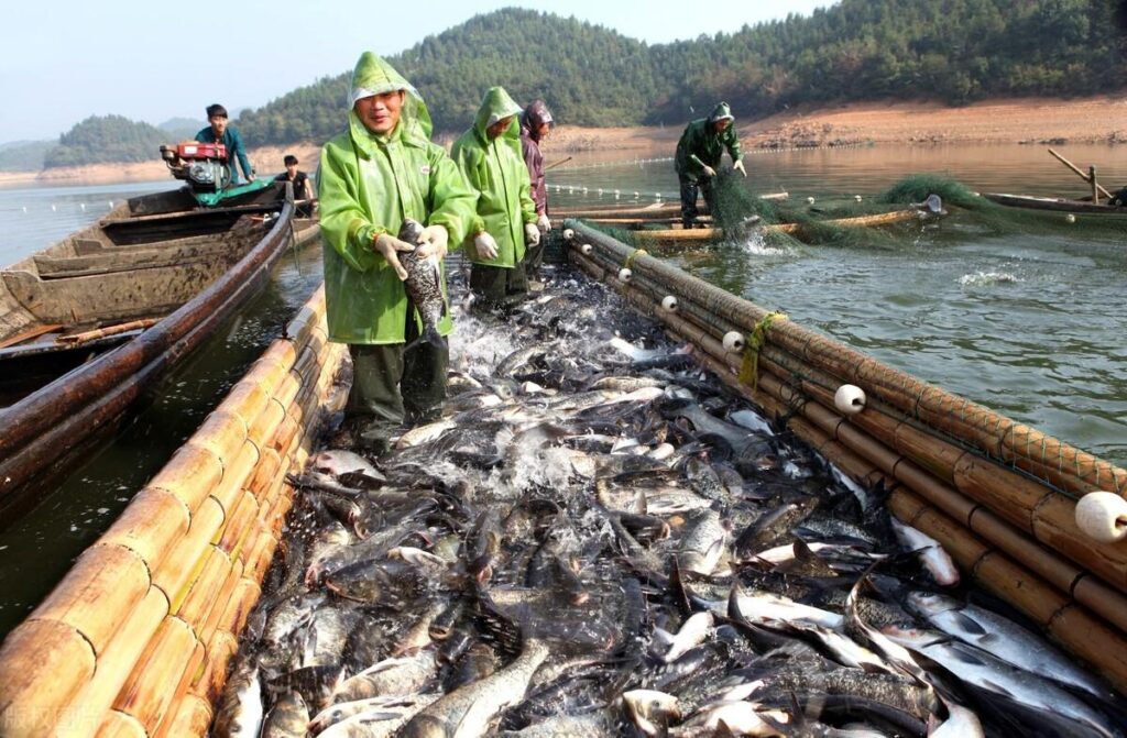 渔业水质检测项目和标准有哪些_大概要多少钱