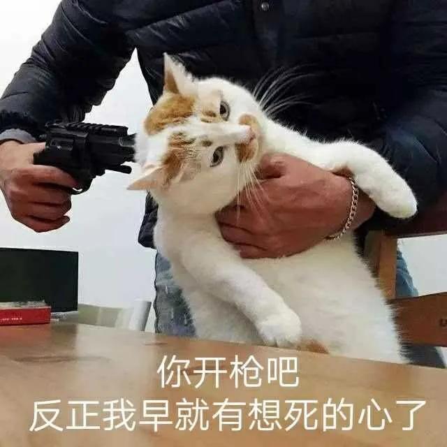 被对方拉黑删除怎么办_一招教你如何挽回