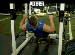 拉单杠有助于长高吗_拉单杠的正确方法和姿势