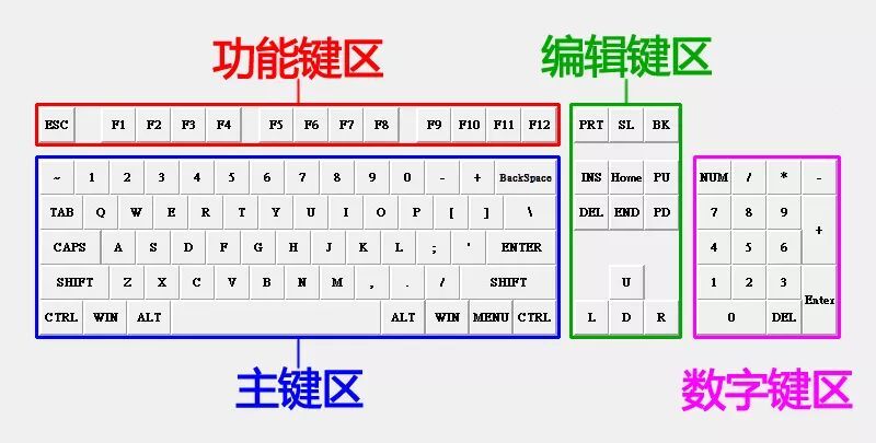 怎么快速学会电脑打字_新手怎么快速学会电脑打字