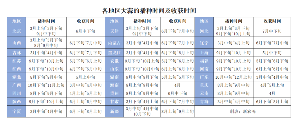 大蒜怎么种植_大蒜种植技术和管理方法