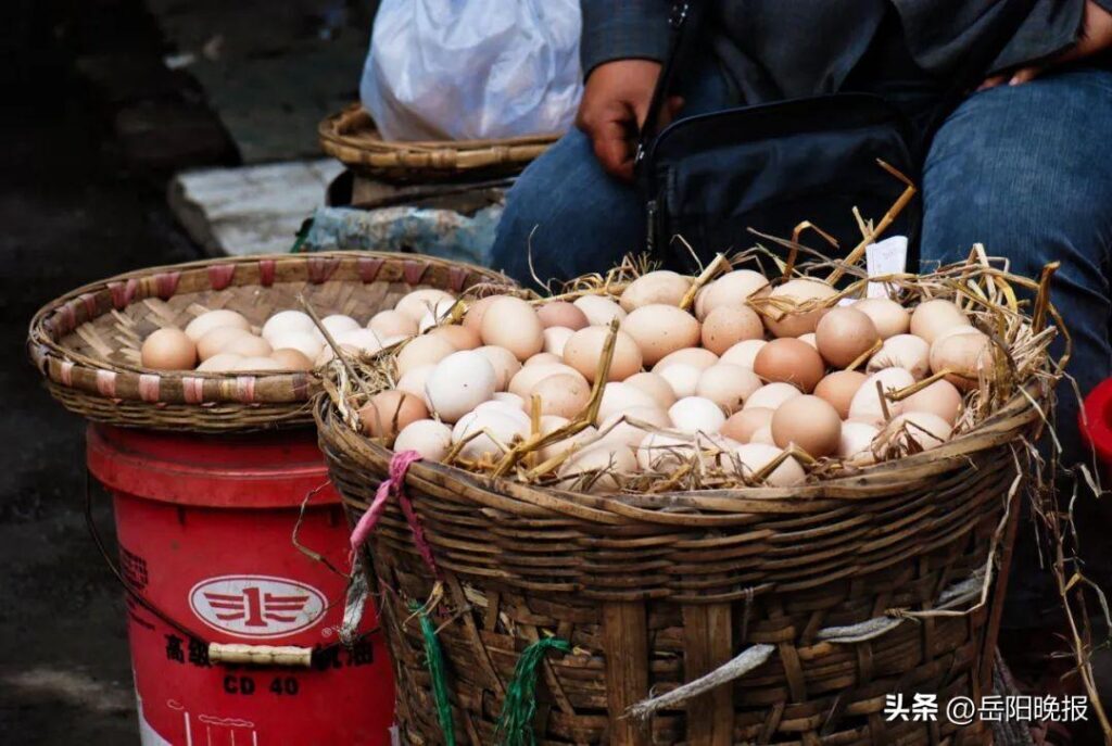 为什么不能吃生鸡蛋_吃生鸡蛋有危害吗