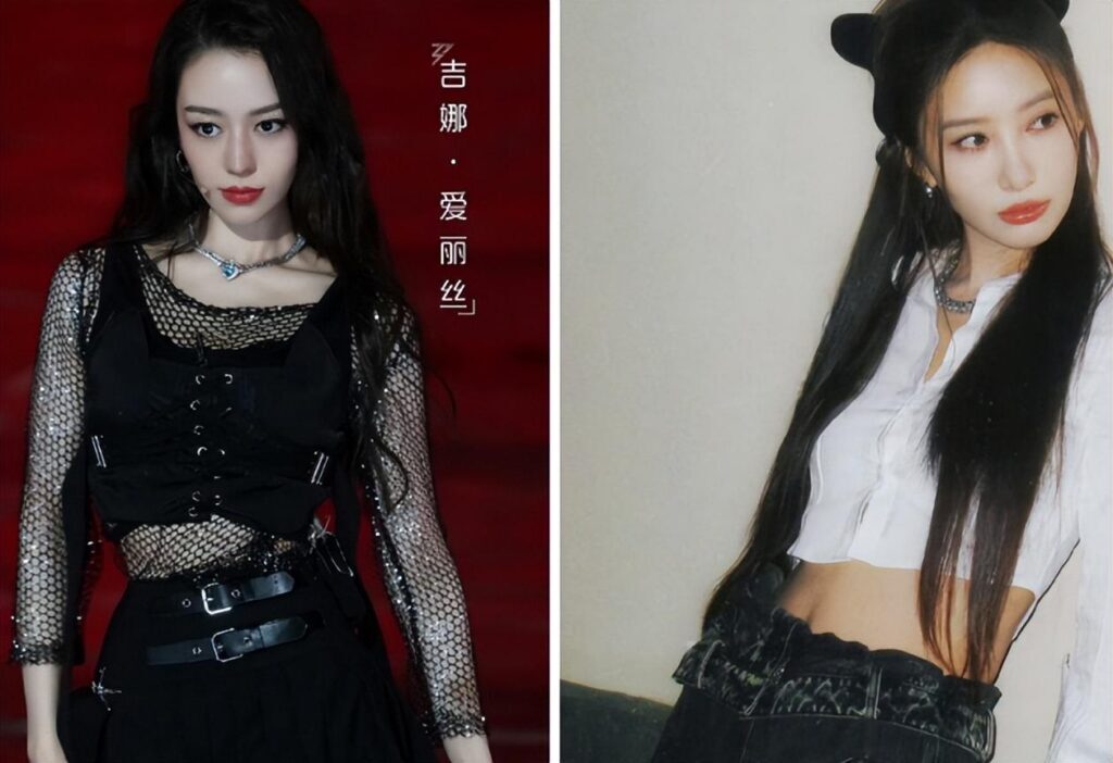徐怀钰为什么突然复出_浪姐4徐怀钰是否退出