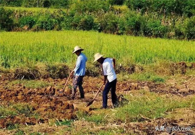 无地农民怎么办_无地农民国家有补偿吗