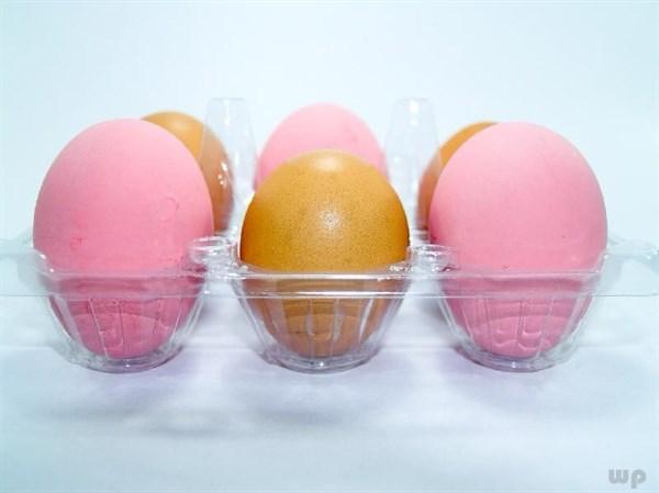 鸡蛋壳的主要成分是什么_鸡蛋壳有哪些妙用