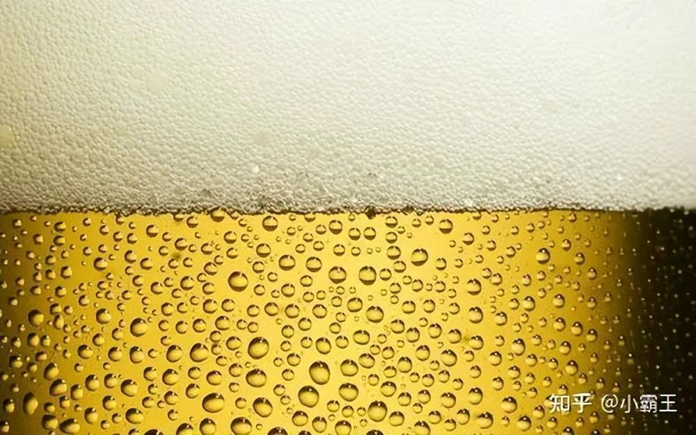 啤酒花是什么东西 _啤酒为什么要放啤酒花
